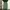 CORDUROY GREEN BALLON PANT BAGGY PANT STREET STYLE photo 2