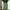 CORDUROY GREEN BALLON PANT BAGGY PANT STREET STYLE