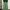 CORDUROY GREEN BALLON PANT BAGGY PANT STREET STYLE photo 3