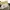 Michael Kors Trisha Medium Pebbled Leather Crossbody Bag lig photo 4
