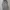 Uniqlo vest revisible photo 4
