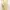RARE ITEM Baby Yellow dress Plisket Puffy  photo 4