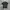 ZARA POLO SHIRT KNITWEAR photo 1