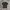 ZARA POLO SHIRT KNITWEAR photo 3
