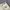 Celana Cargo Camo Stussy photo 6