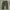 baggy fatigue pants army photo 1