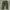 Baggy Fatigue Pants Army