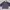 Pierre Cardin Navy Windbreaker Jacket