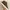 TIMBERLAND Earthkeepers Casual Leather Sneakers