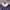 Imperial Navy – Jaket Harrington  photo 8