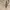PatPatPat Beige – Jaket Harrington photo 4