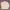PatPatPat Beige – Jaket Harrington photo 1