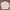 PatPatPat Beige – Jaket Harrington