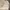 PatPatPat Beige – Jaket Harrington photo 5