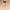 Jordache Beige – Jaket Harrington  photo 4