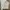 45Rpm Linen White Pants photo 4