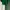 Crop Half-backless Knit in Emerald Green photo 1