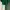 Crop Half-backless Knit In Emerald Green