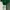 Crop Half-backless Knit in Emerald Green photo 2