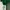 Crop Half-backless Knit In Emerald Green