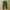 Uniqlo Sweatpants Warna Olive Green