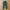 Uniqlo Sweatpants warna olive green photo 6