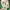 Adidas Cloudfoam Racer Size 44 photo 6