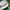 Adidas Cloudfoam Racer Size 44 photo 5