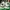 Adidas Cloudfoam Racer Size 44 photo 3