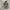 Adidas Cloudfoam Racer Size 44 photo 1