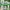 Adidas Cloudfoam Racer Size 44 photo 7