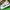 Adidas Cloudfoam Racer Size 44 photo 4