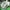 Adidas Cloudfoam Racer Size 44 photo 8