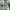 Adidas Cloudfoam Racer Size 44 photo 10