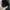 hush puppies Hush Puppies Tas Wanita Lorna Sling L Black photo 3