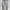 DOUBLE KNEE SKINNY FIT DICKIES CARCOL