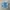 GAP Streetwear Grunge Denim jacket Wanita gray blue photo 7