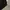 Thisisneverthat Arch Logo photo 6