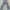 Levi's Vintage Streetwear Jeans Pria Blue
