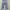 Levi's Vintage Streetwear Jeans Pria blue photo 2