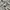 Celana Pendek Essentials FOG photo 4