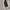 Minimalist Prom dress Wanita cream photo 2