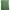 Vintage y2k green cargo pants photo 6