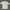 Spao Sportswear Polo Shirt Pria White