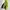 Kolping Technical Outdoor Mountain Hiking WindbreakerJacket photo 3