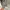 Supreme Luxury Casual Hat Pria silver photo 3