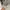 Supreme Luxury Casual Hat Pria silver photo 2
