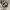 Supreme Luxury Casual Hat Pria silver photo 5