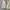 Japanese brand Streetwear Vintage Denim jacket Pria white cream photo 2