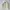 Japanese Brand Streetwear Vintage Denim Jacket Pria White Cream